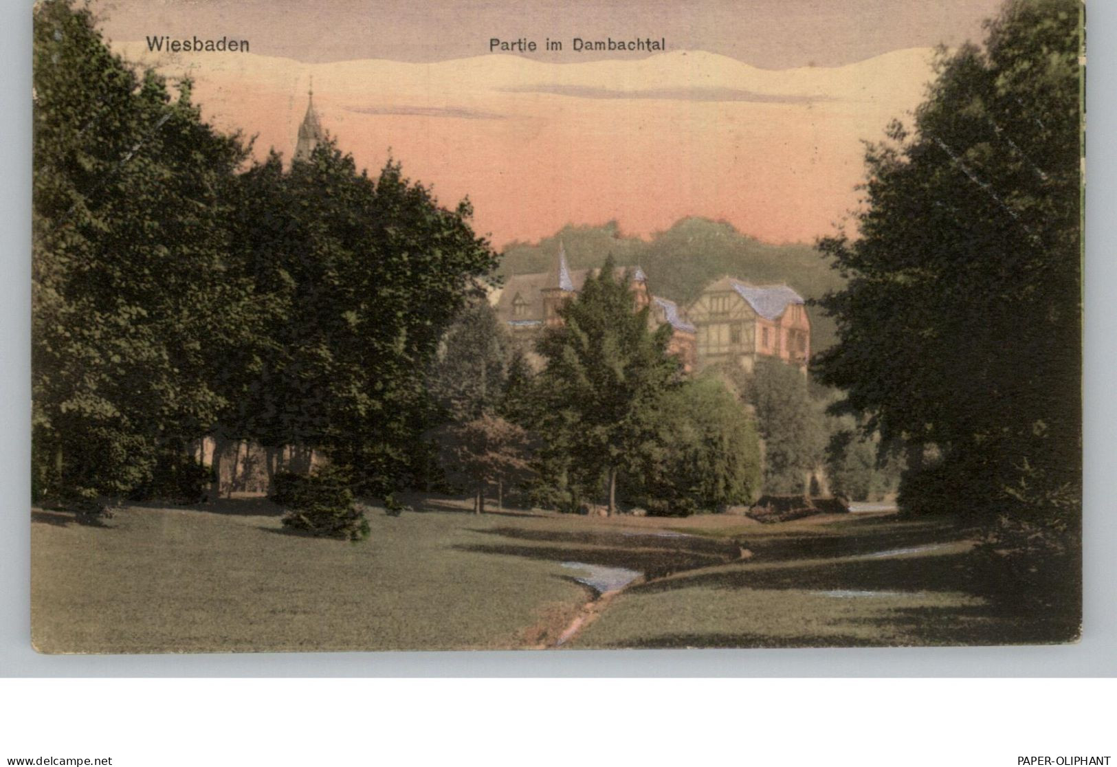 6200 WIESBADEN, Partie Im Dambachtal, 1906, Verlag Boogaart - Wiesbaden