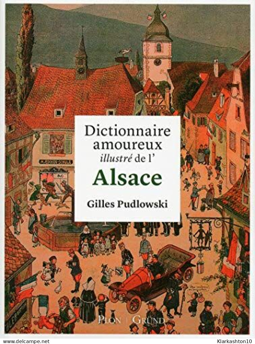 Dictionnaire Amoureux Illustré De L'Alsace - Other & Unclassified