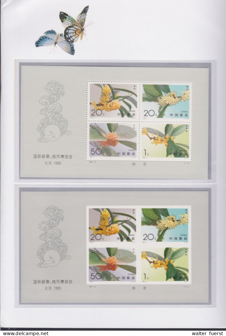 CHINA 1995-19, "BEIJING 1995", Folder Complete With All S/s + Cinderellas  - Blocs-feuillets