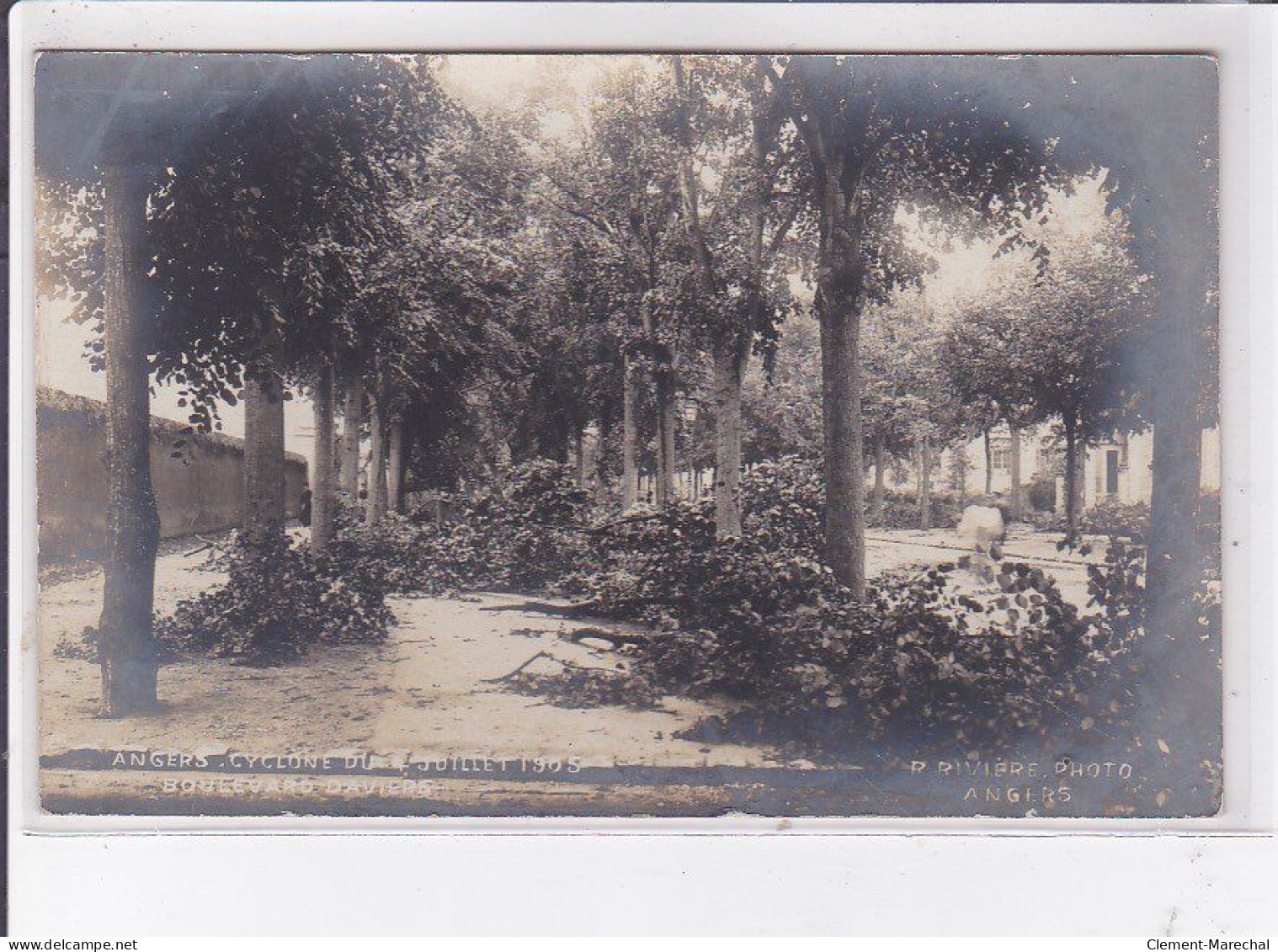 ANGERS: Cyclone De Juillet 1905, Boulevard Daviers - Très Bon état - Angers