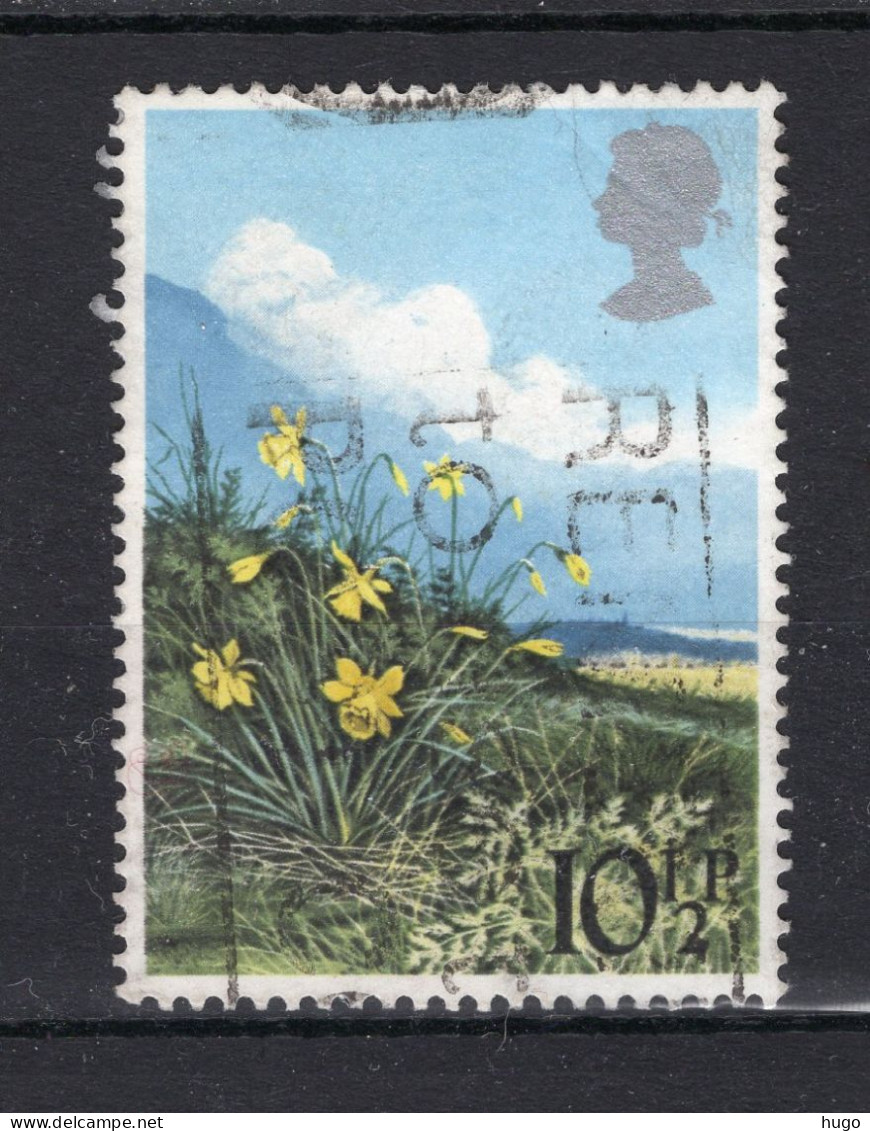 GROOT BRITTANIE Yt. 885° Gestempeld 1979 - Used Stamps