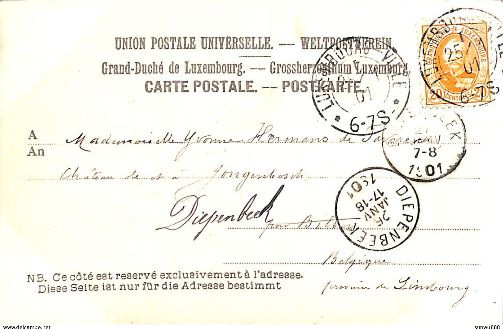 Luxembourg Vu Du Fort Thüngen (Verlag W. Springer Söhne  1901) - Luxemburg - Town