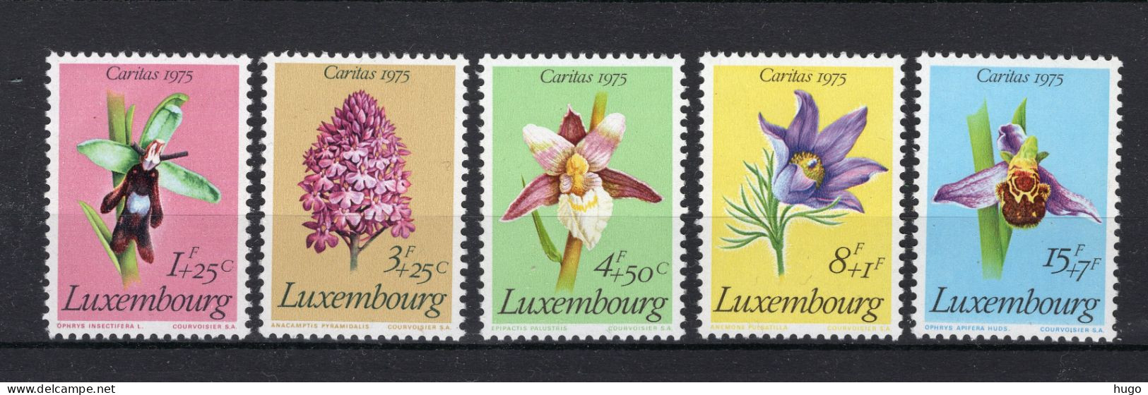 LUXEMBURG Yt. 864/868 MNH 1975 - Unused Stamps