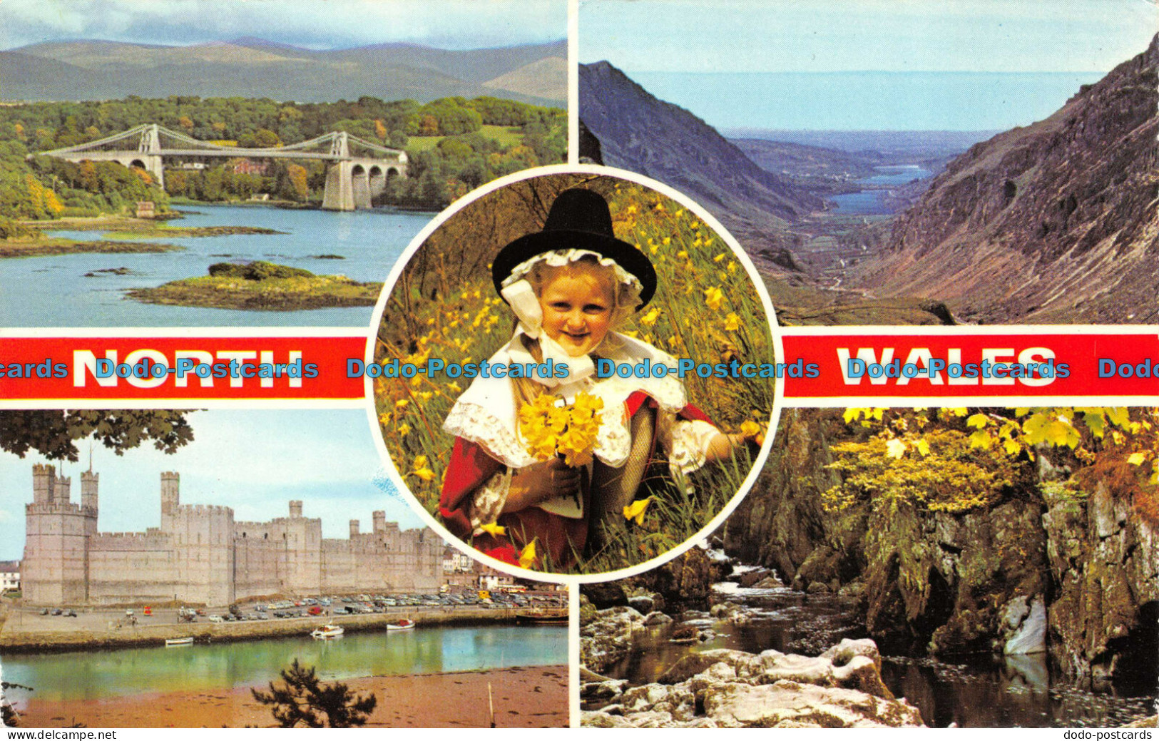 R071179 North Wales. Multi View. Dennis. 1983 - Monde