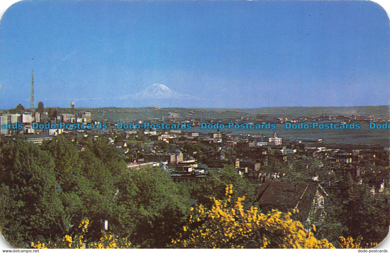 R071188 Mount Rainer From Seattle. Washington. J. Boyd Ellis. Dextone - Monde