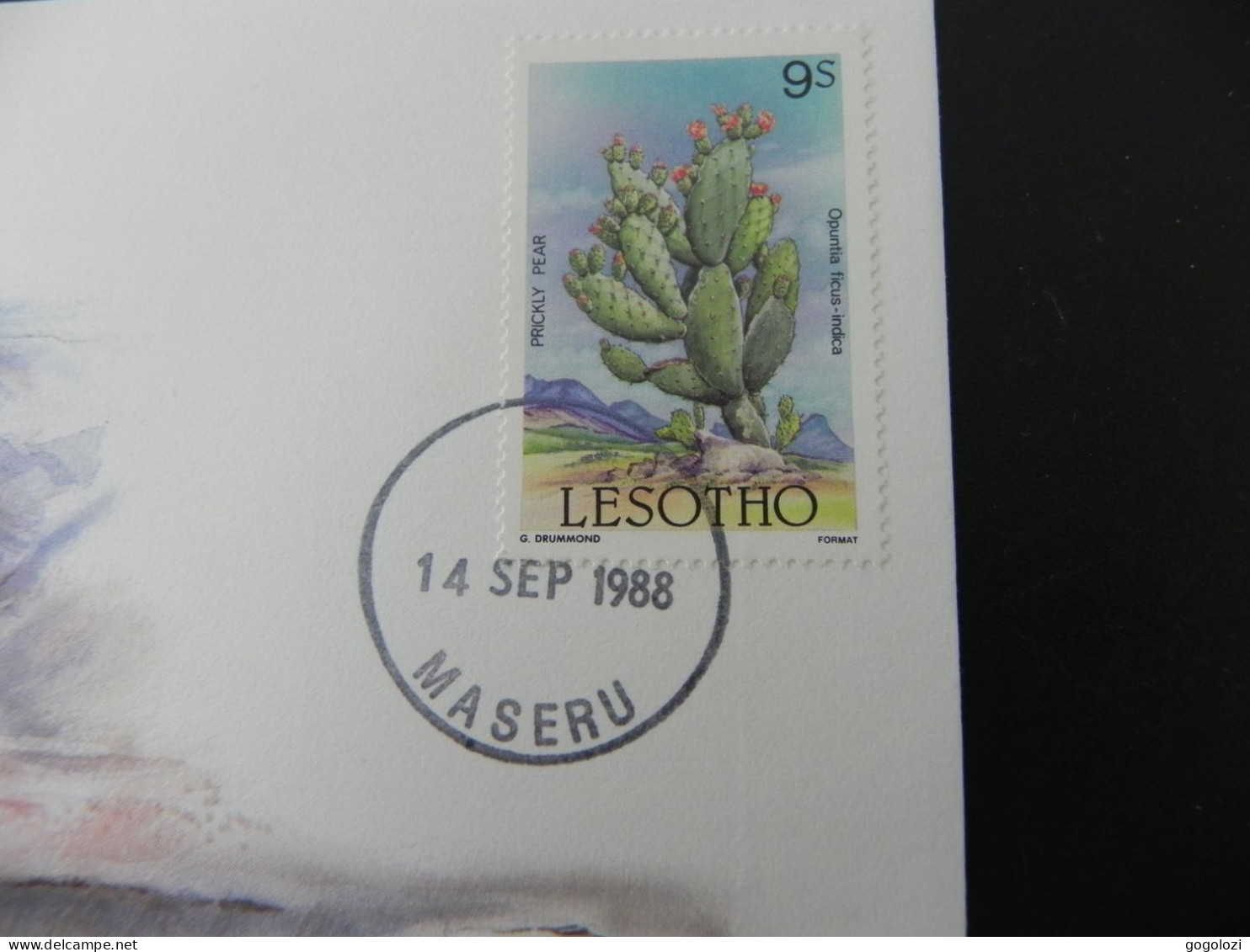 Lesotho 5 Lisente 1979 - Numis Letter 1988 - Lesotho