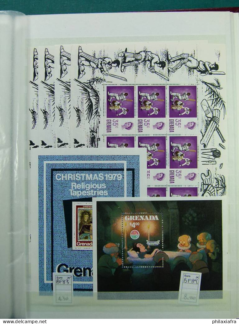 Collection Colonies Anglaises, classificateur, timbres neufs ** en séries cpl