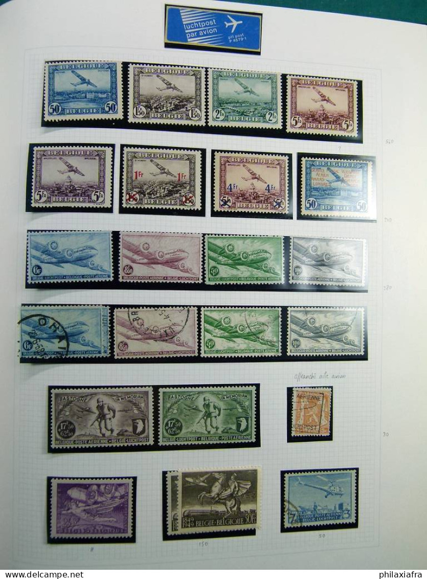 Collection Belgique album timbres neufs */** et oblitérés uniquement services CV