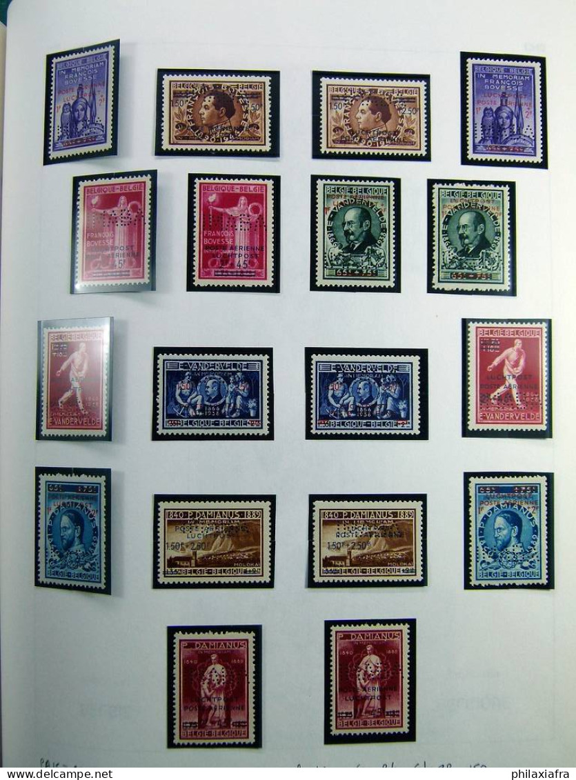 Collection Belgique album timbres neufs */** et oblitérés uniquement services CV