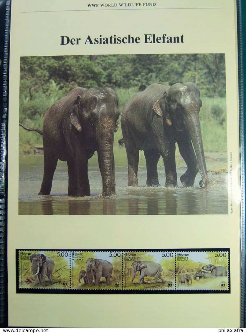 Collection théme WWF timbres neufs** enveloppes Maldives Sri Lanka Brési