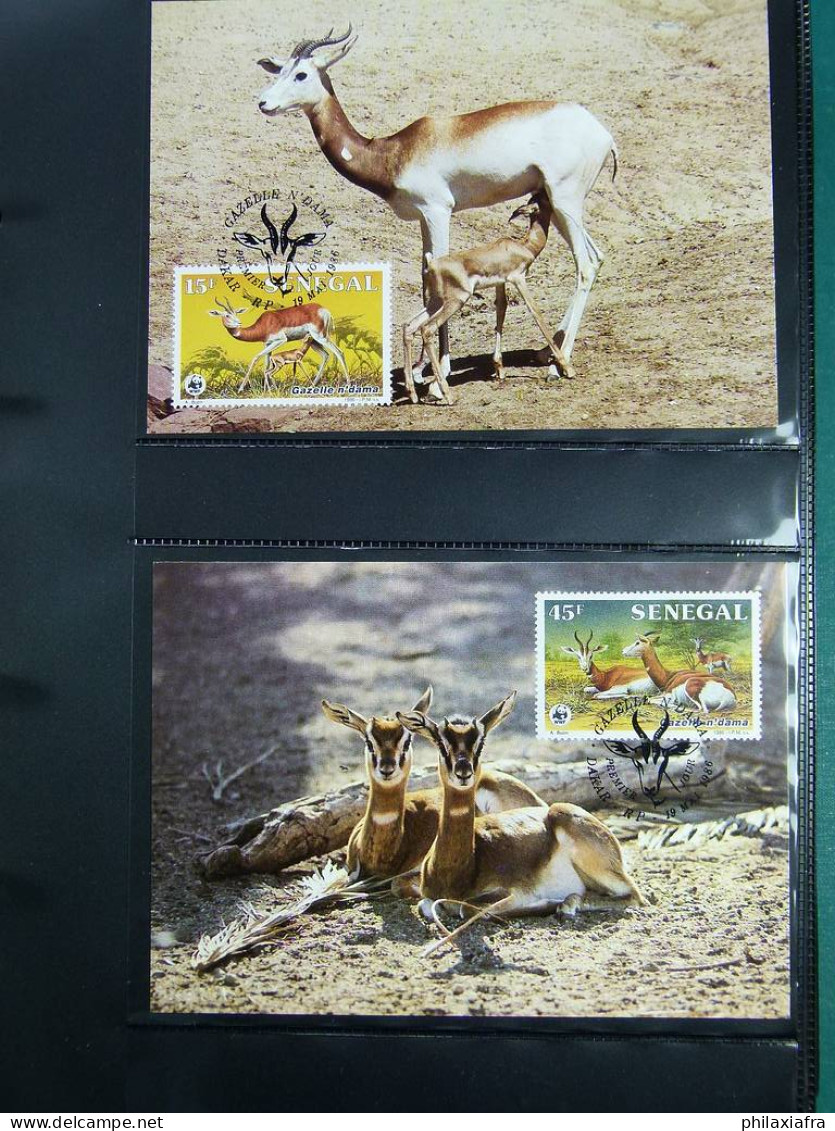 Collection théme WWF timbres neufs** enveloppes Maldives Sri Lanka Brési