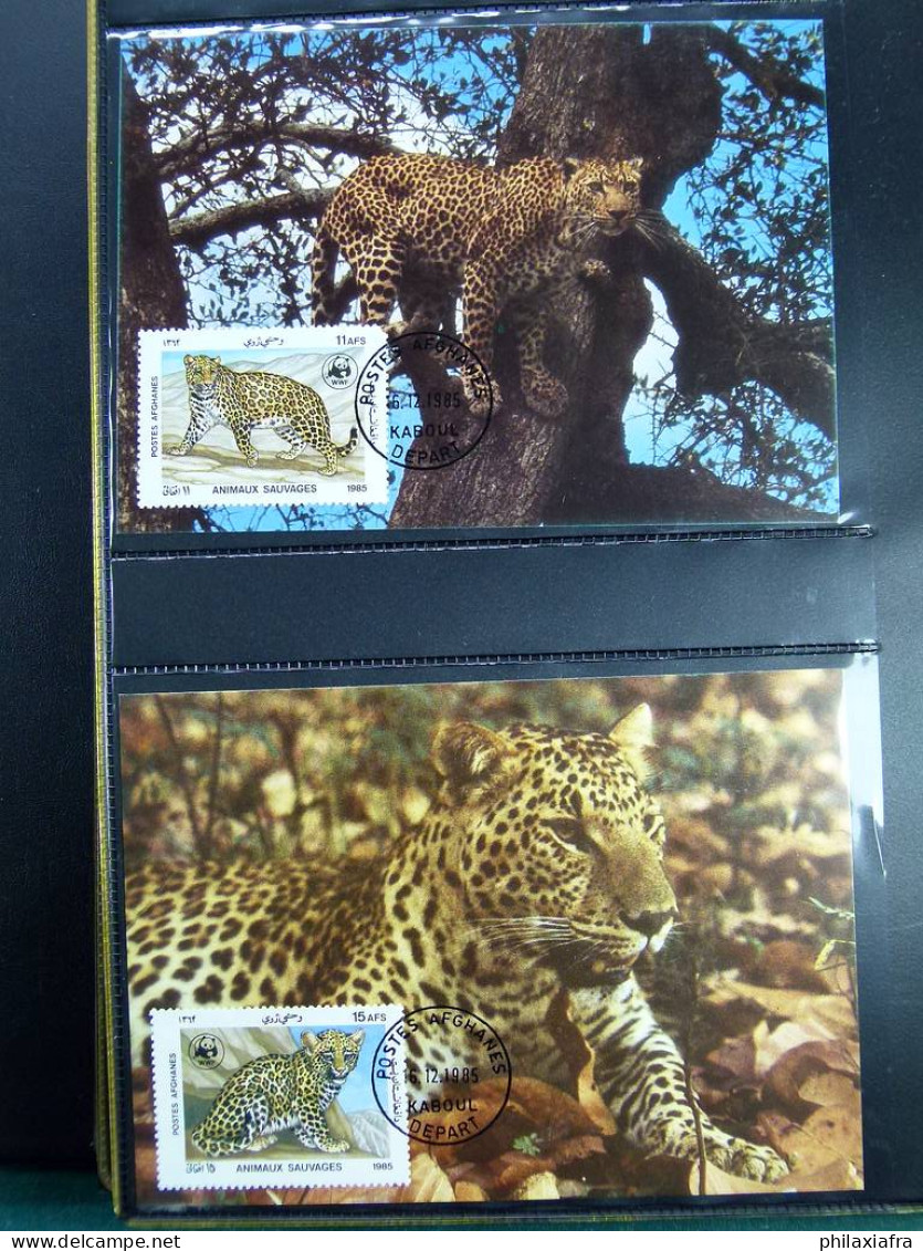 Collection théme WWF timbres neufs** enveloppes Maldives Sri Lanka Brési