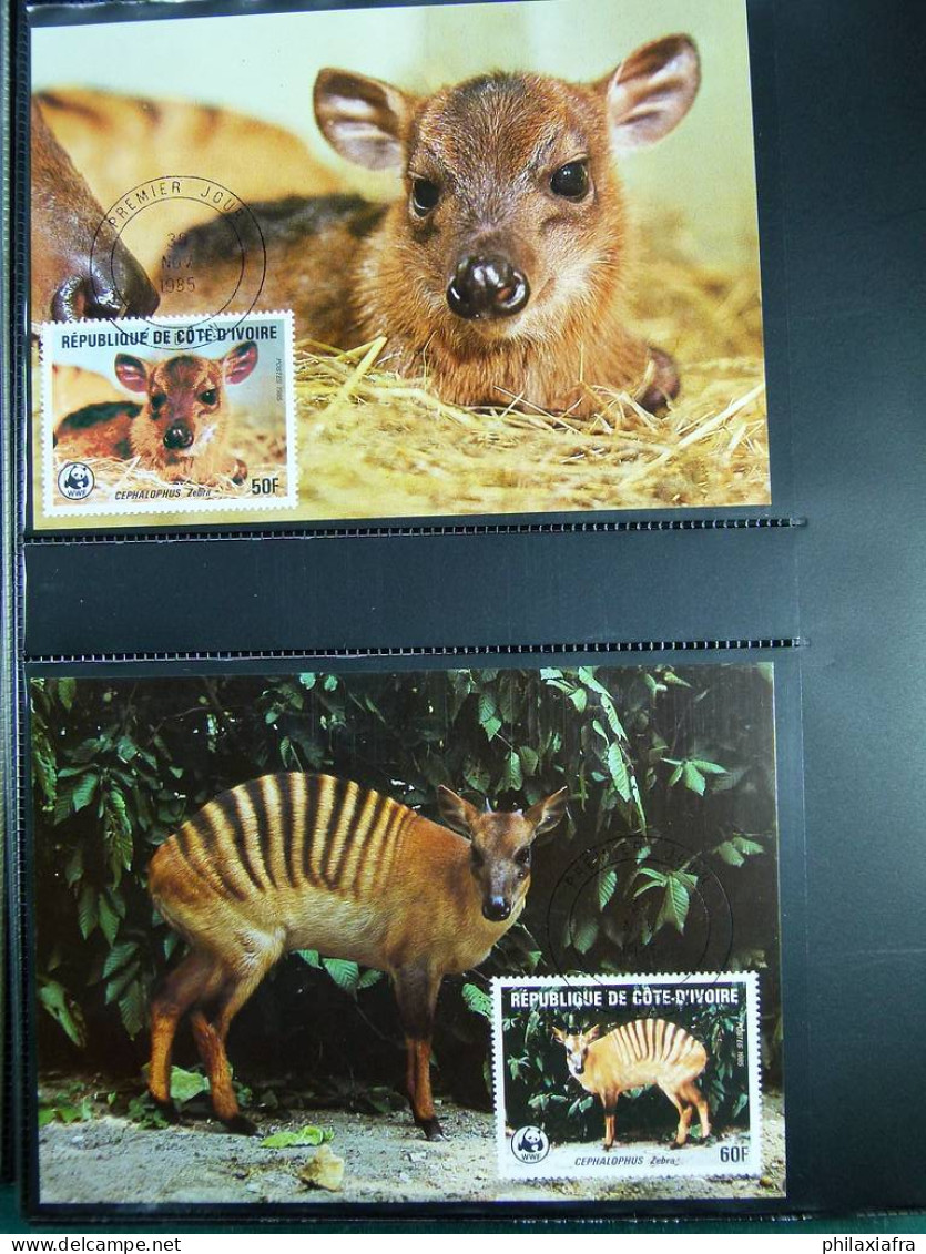 Collection théme WWF timbres neufs** enveloppes Maldives Sri Lanka Brési