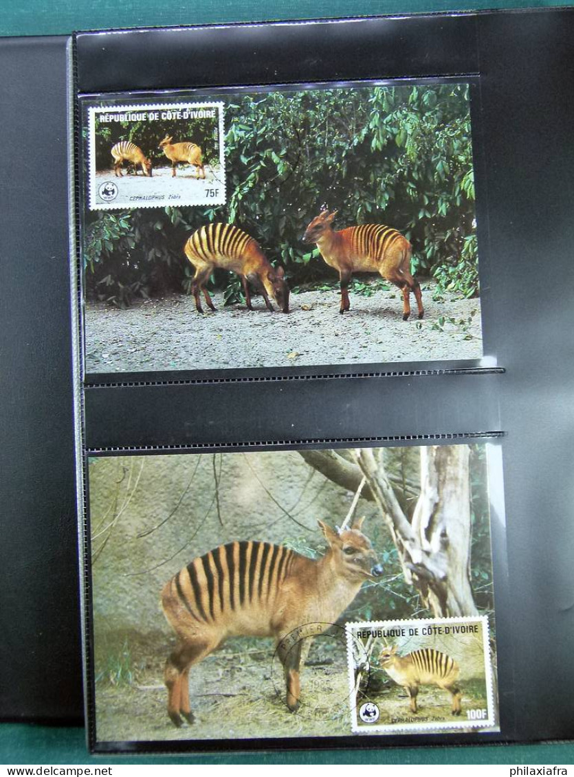 Collection théme WWF neufs** timbres enveloppes Pologne Niger Maurice