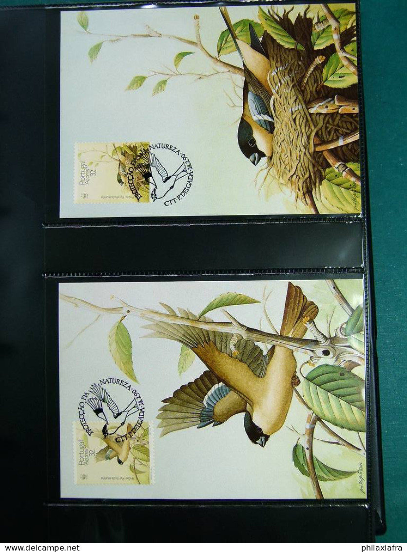 Collection théme WWF neufs** timbres enveloppes Man Cook Pakistan Nevis