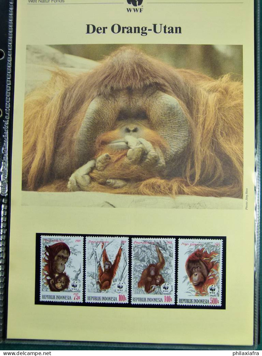 Collection théme WWF neufs** timbres enveloppes Salvador Tanzanie Bénin