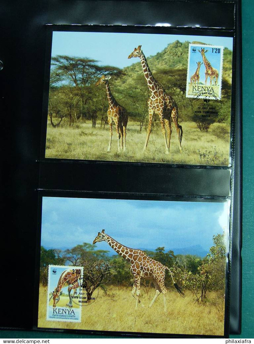 Collection théme WWF neufs** timbres enveloppes Salvador Tanzanie Bénin