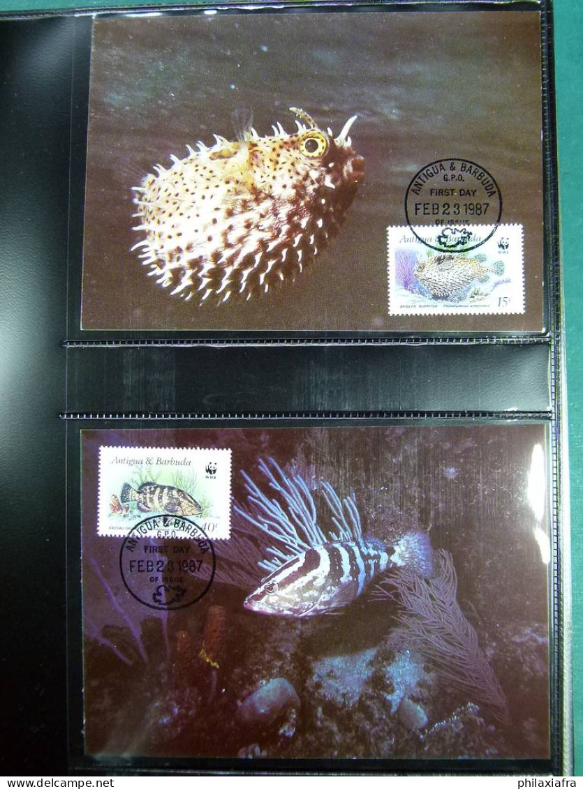 Collection Théme WWF Neufs** Timbres Enveloppes Antigua URSS DDR Zambie - Autres & Non Classés