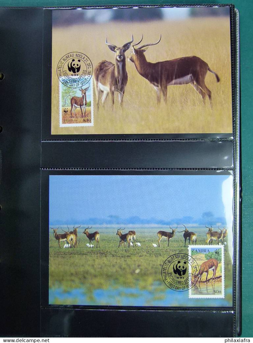 Collection théme WWF neufs** timbres enveloppes Antigua URSS DDR Zambie