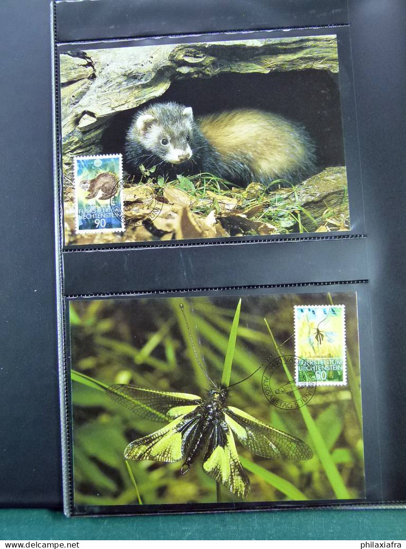 Collection WWF Timbres Neufs**et Enveloppes De Liechtenstein Kenya Tchad - Other & Unclassified