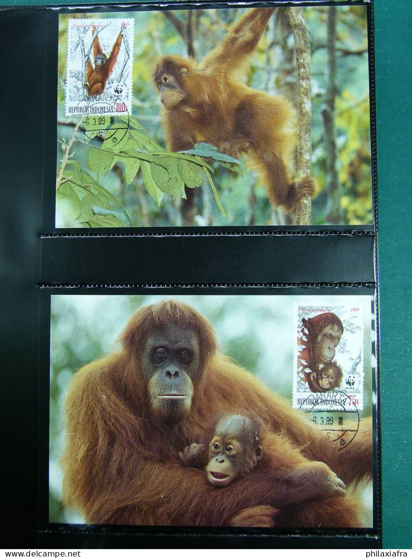 Collection WWF timbres neufs**et enveloppes de Liechtenstein Kenya Tchad