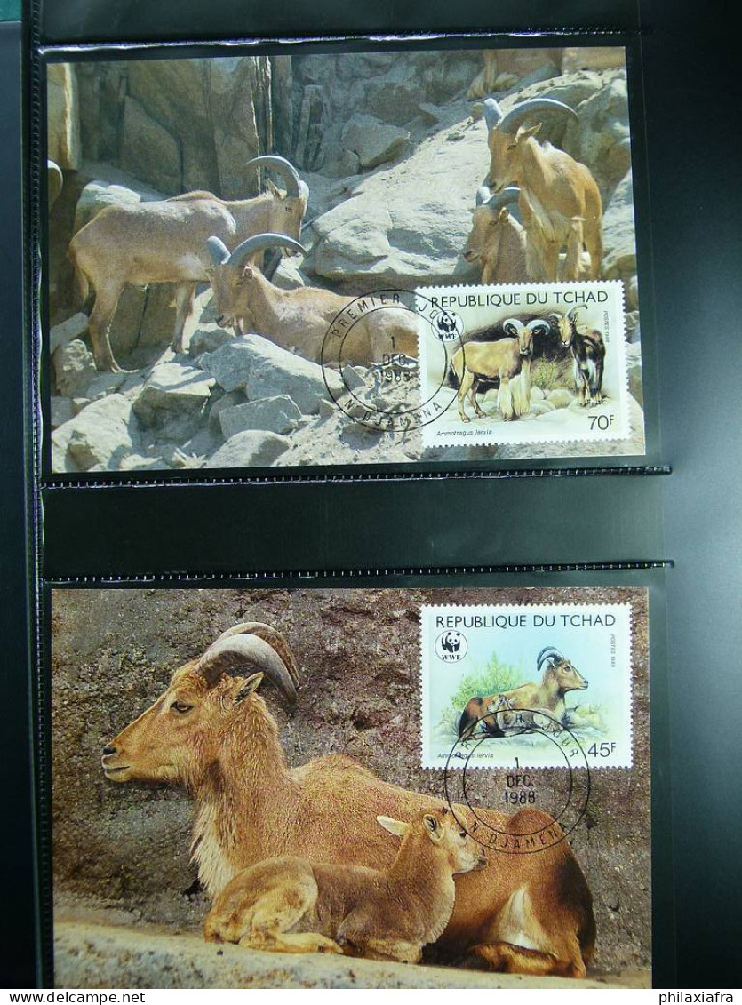 Collection WWF timbres neufs**et enveloppes de Liechtenstein Kenya Tchad