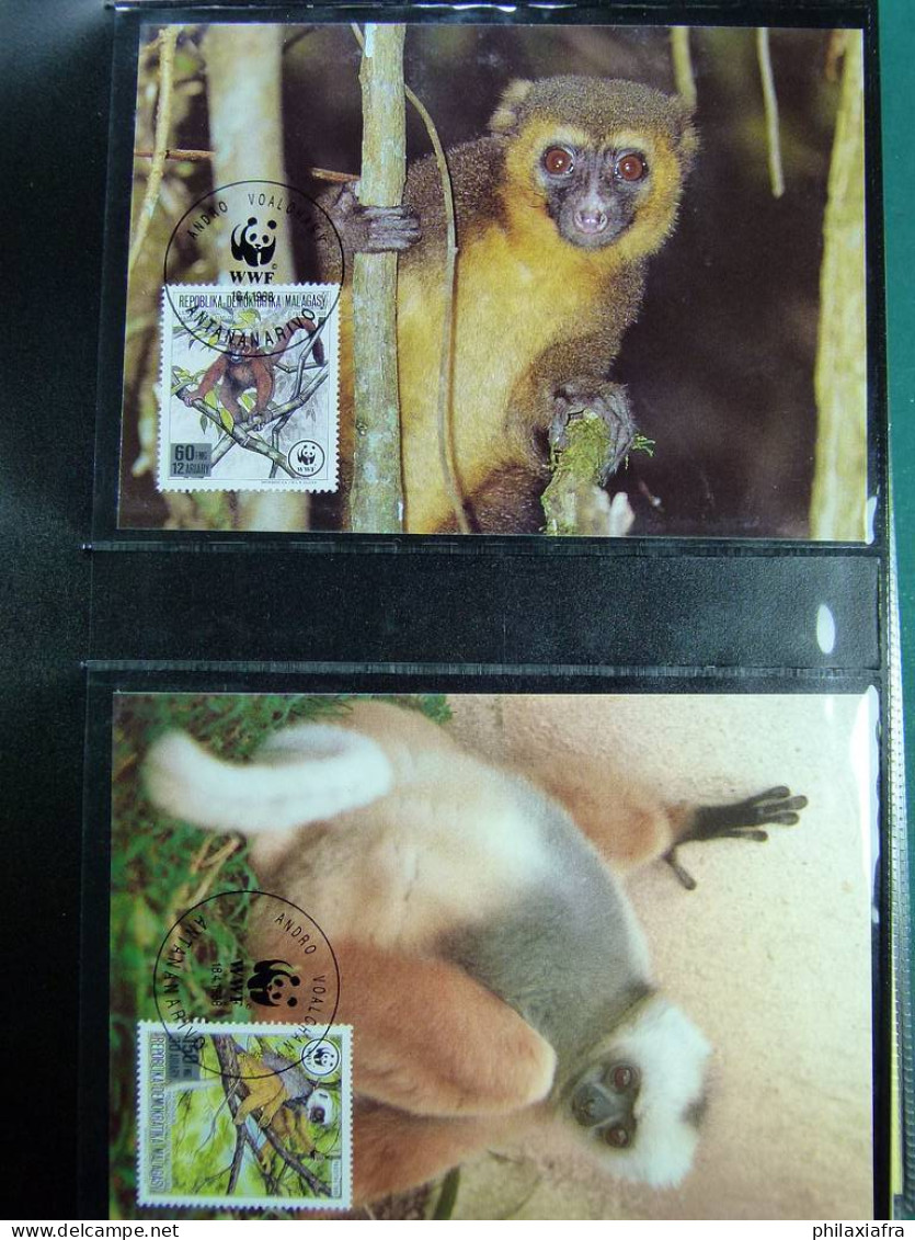 Collection WWF Timbres Neufs ** Enveloppes De Malgache Vietnam Comores - Autres & Non Classés
