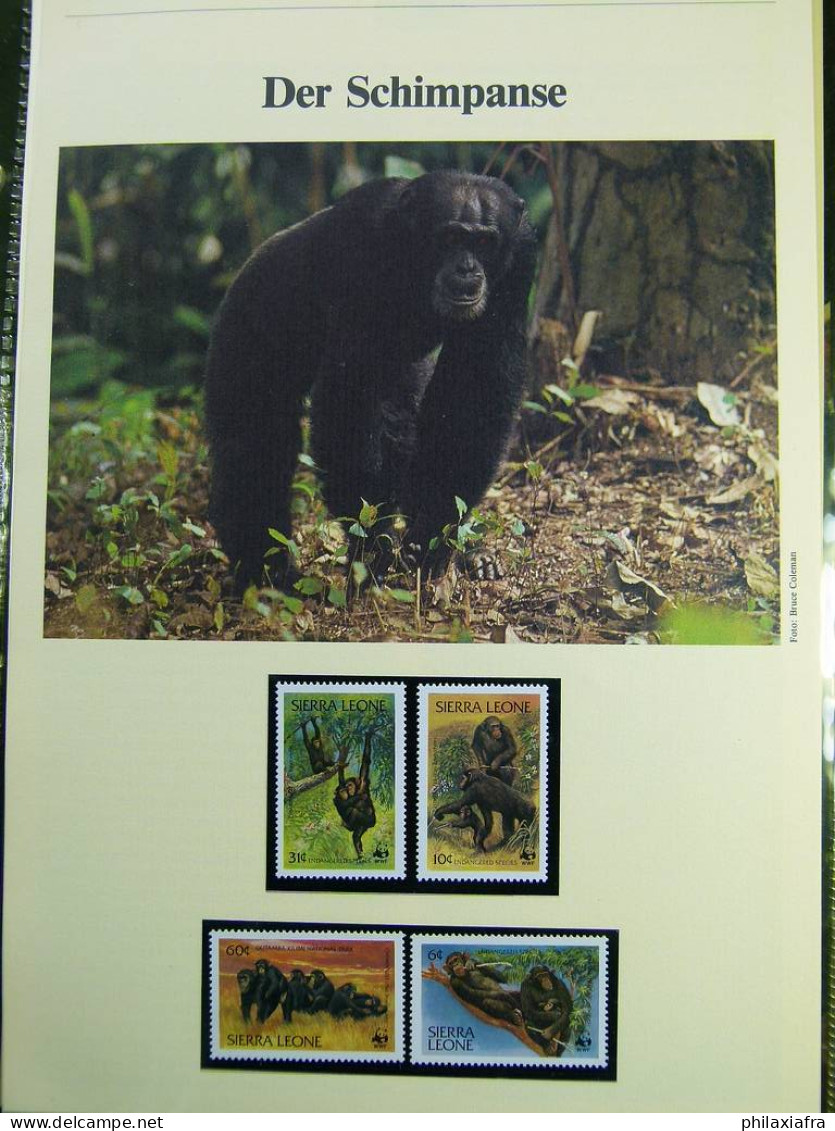 Collection WWF Album Timbres Neufs ** Enveloppes Anguilla Palau Hongrie - Sonstige & Ohne Zuordnung