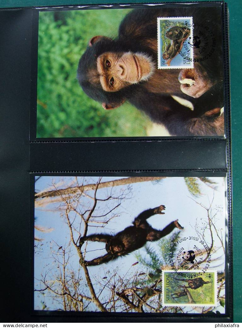 Collection WWF Album Timbres Neufs ** Enveloppes Anguilla Palau Hongrie - Sonstige & Ohne Zuordnung