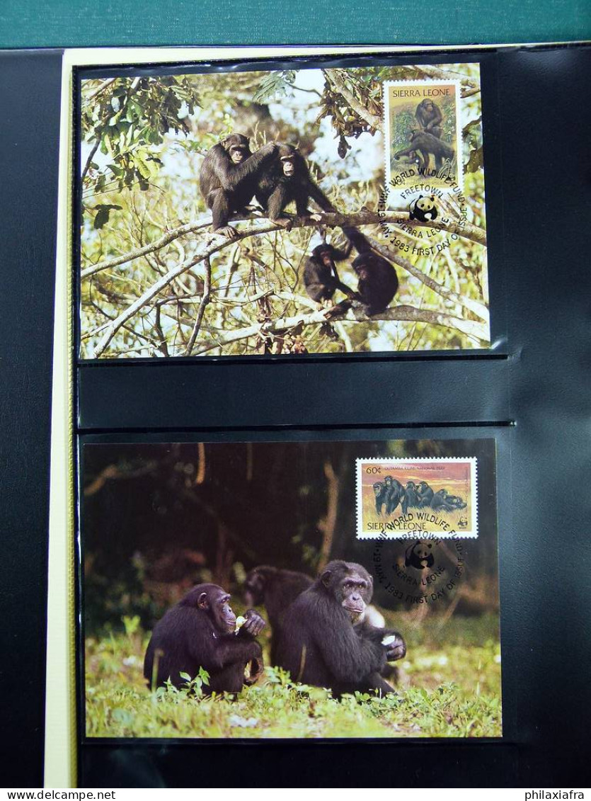 Collection WWF Album Timbres Neufs ** Enveloppes Anguilla Palau Hongrie - Other & Unclassified