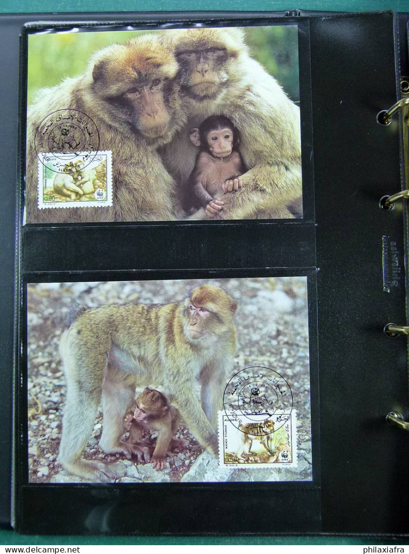 Collection WWF album, timbres neufs ** enveloppes Algérie Botswana Fidji