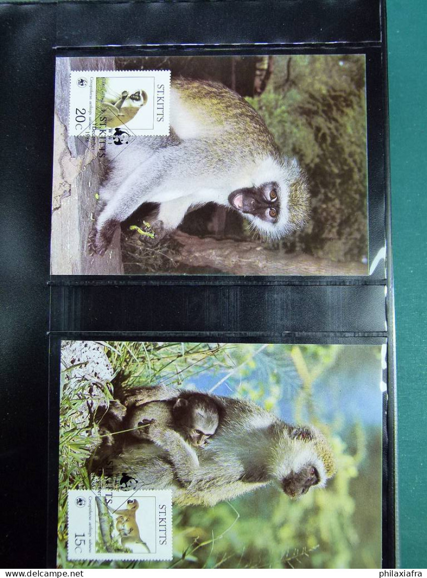 Collection WWF album, timbres neufs ** enveloppes Algérie Botswana Fidji