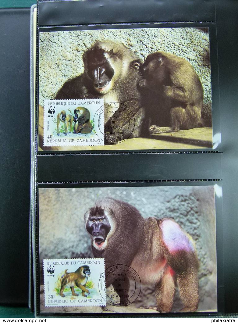 Collection WWF album, timbres neufs ** enveloppes Algérie Botswana Fidji