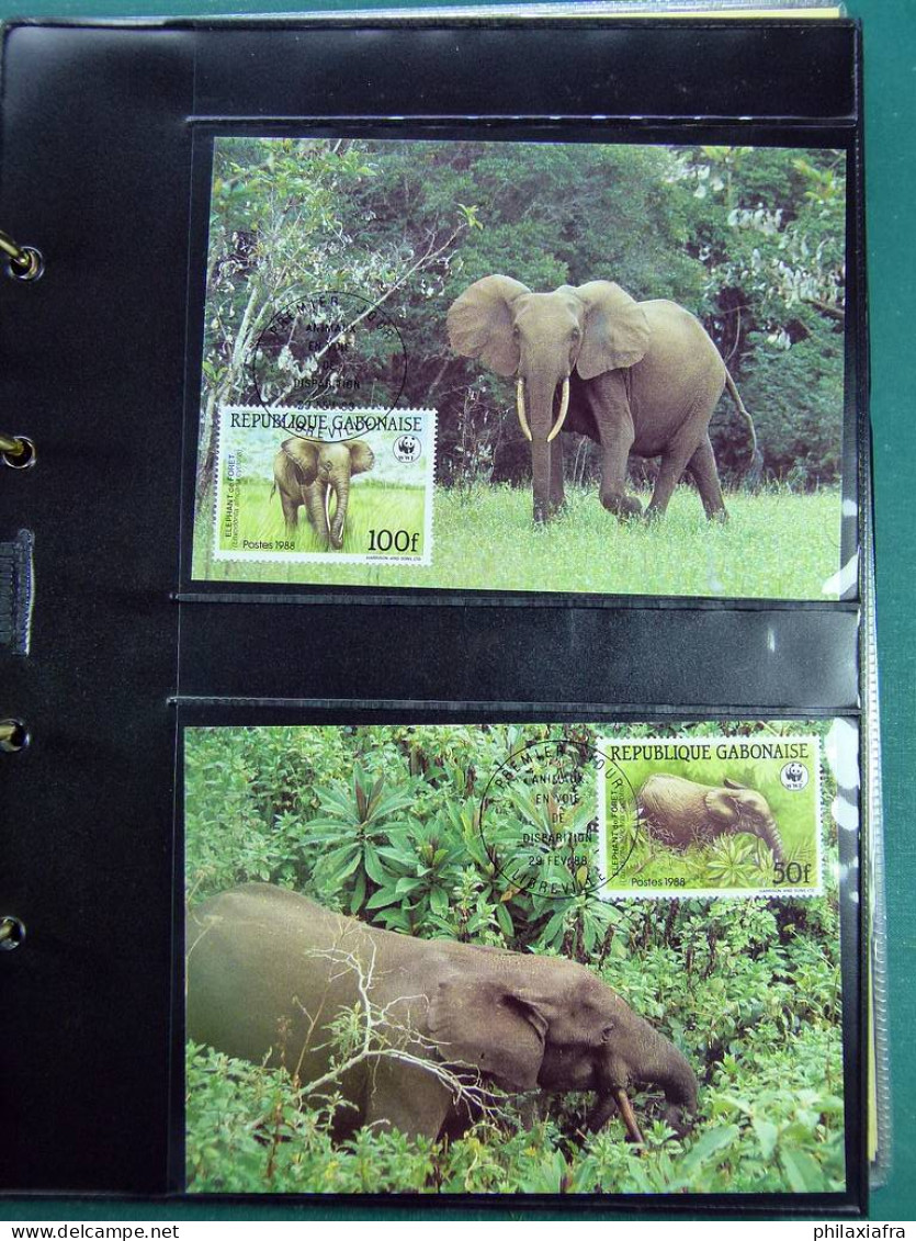 Collection WWF album, timbres neufs ** enveloppes Algérie Botswana Fidji