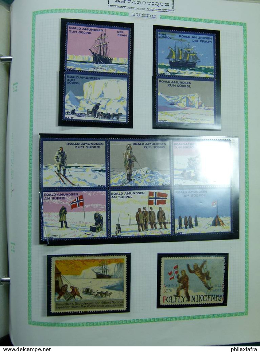 Collection dessins animés Cendrillon Expéditions polaires Arctique Antarctique