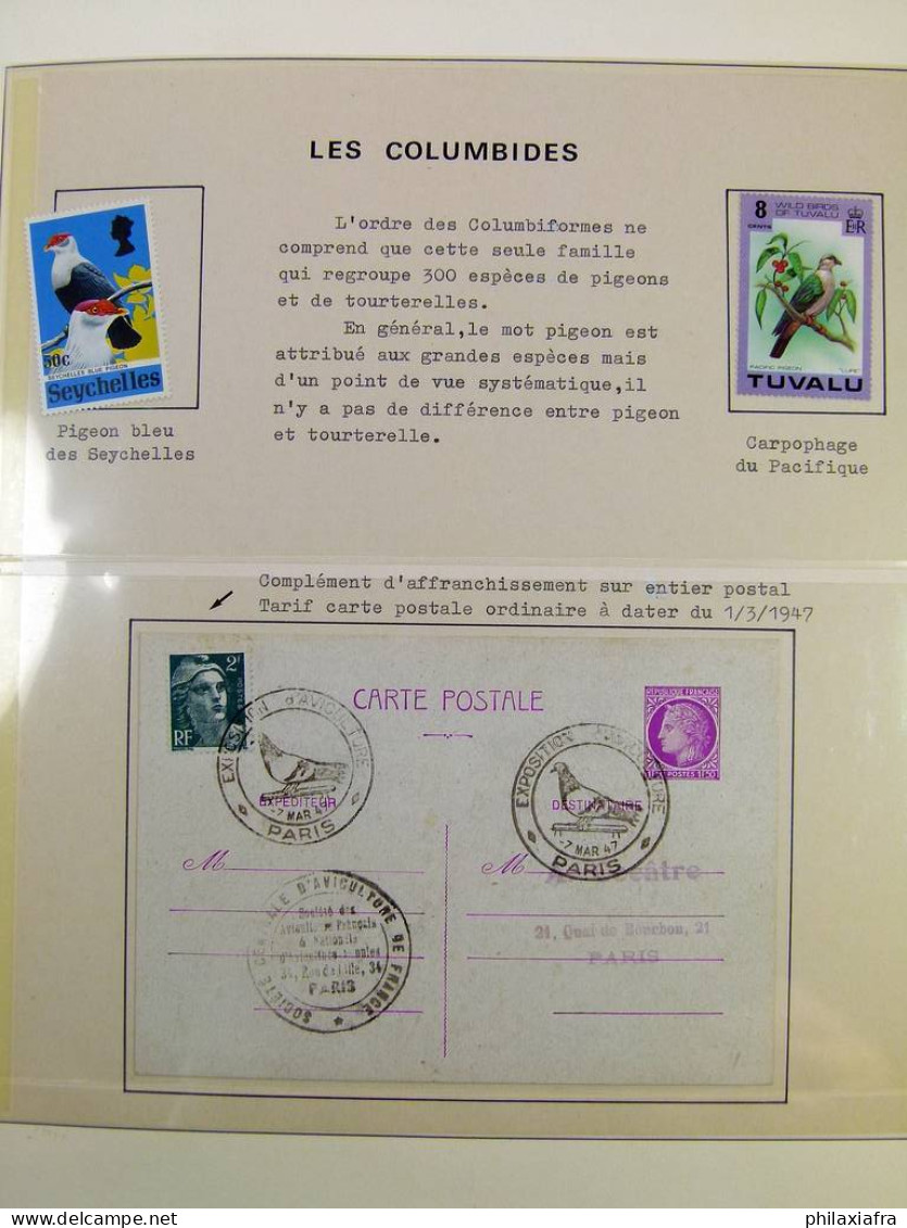 Collection Théme Oiseaux Album, Timbres Neufs Et Oblitérés. Lot Histoire Postale - Collections, Lots & Series
