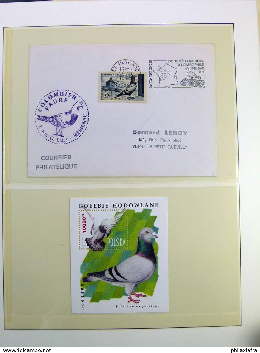 Collection théme Oiseaux album, timbres neufs et oblitérés. Lot Histoire Postale