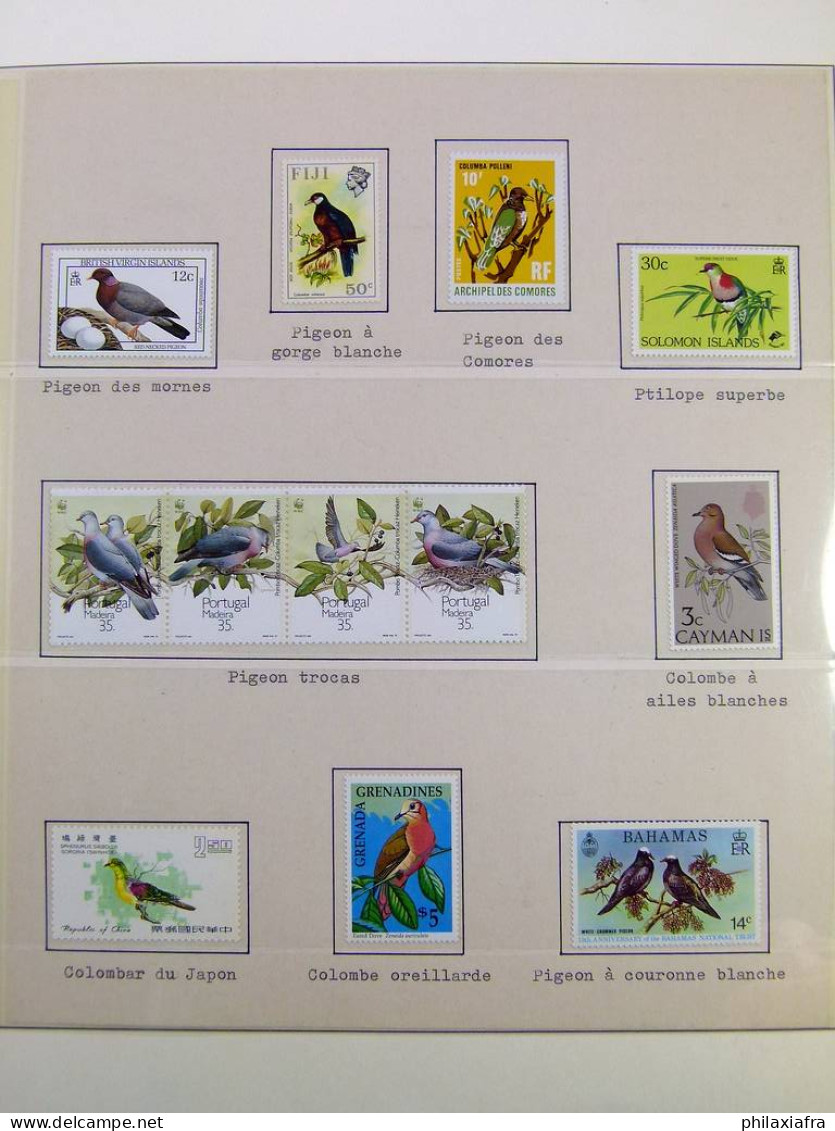 Collection théme Oiseaux album, timbres neufs et oblitérés. Lot Histoire Postale