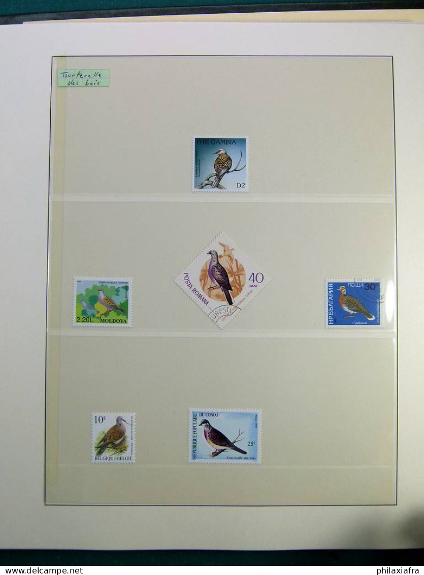 Collection théme Oiseaux album, timbres neufs et oblitérés. Lot Histoire Postale