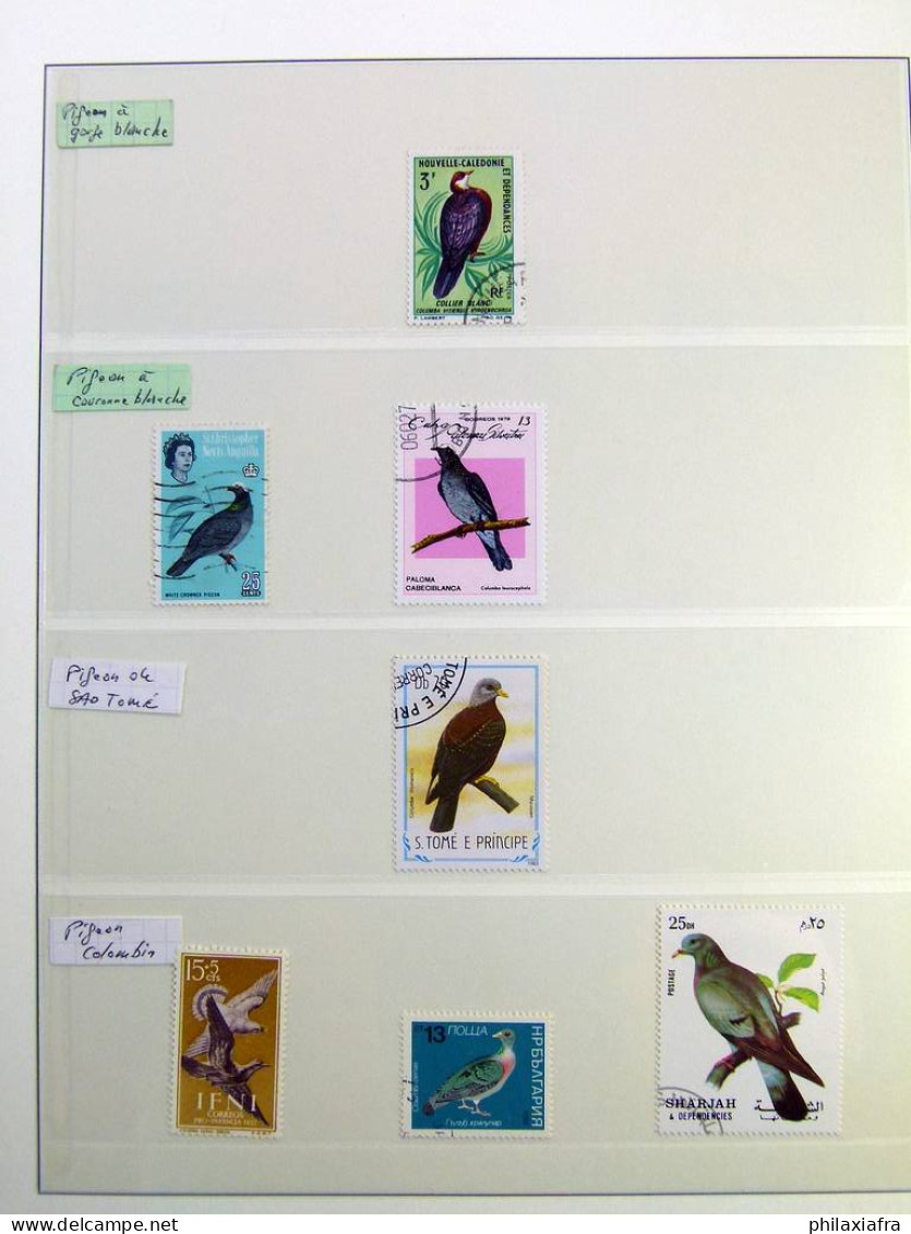 Collection théme Oiseaux album, timbres neufs et oblitérés. Lot Histoire Postale