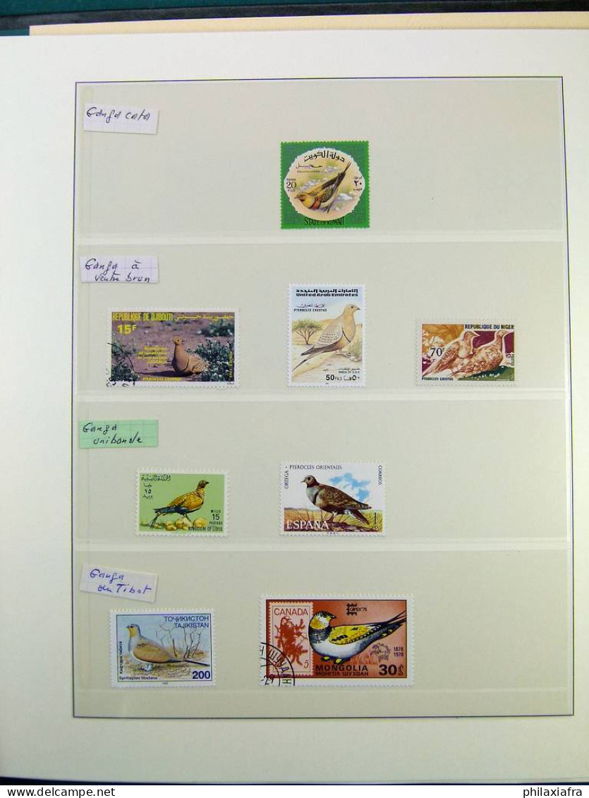 Collection théme Oiseaux album, timbres neufs et oblitérés. Lot Histoire Postale