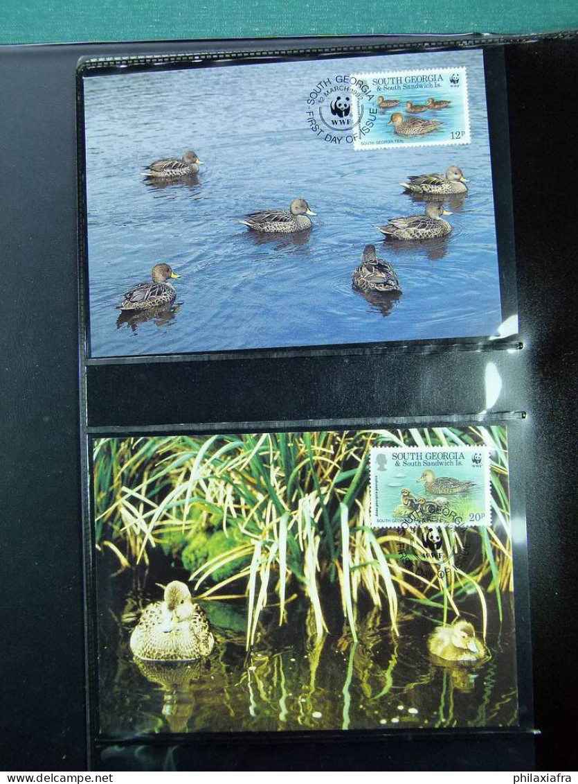 Collection WWF, Album, Timbres Neufs ** Enveloppe Somalien Galapagos - Autres & Non Classés
