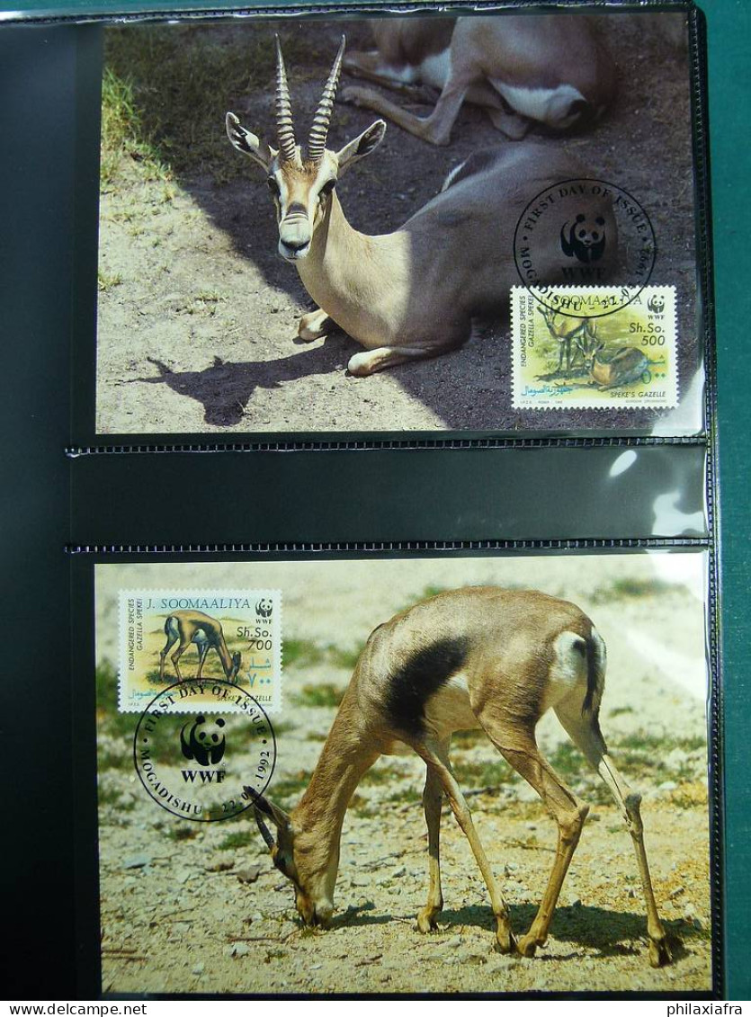 Collection WWF, album, timbres neufs ** enveloppe Somalien Galapagos