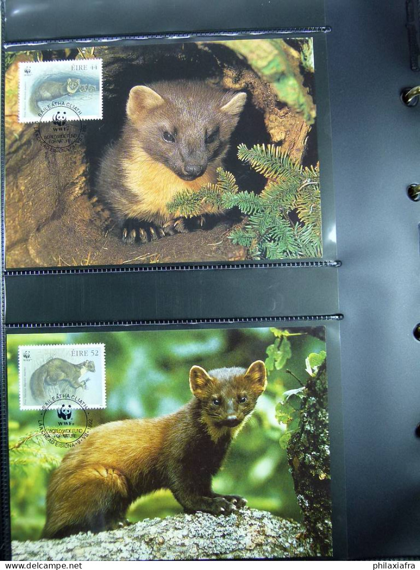 Collection WWF, album, timbres neufs ** enveloppe Somalien Galapagos