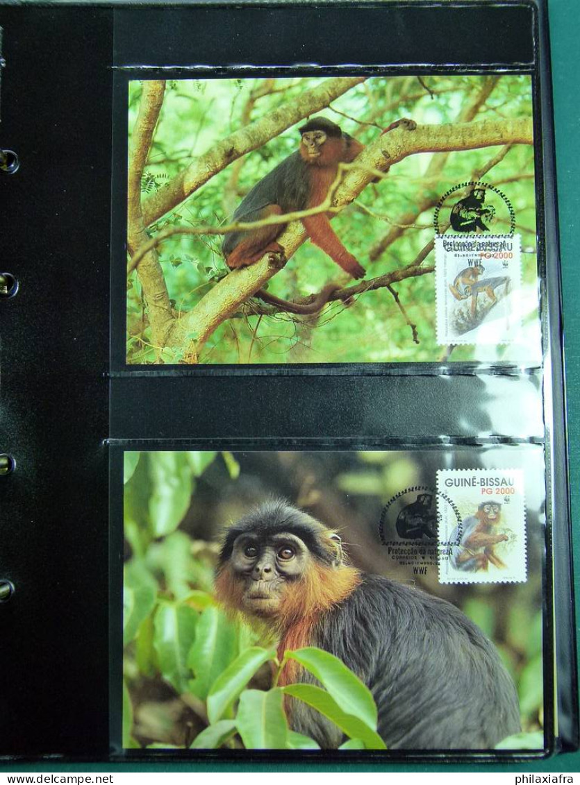 Collection WWF, album, timbres neufs ** enveloppe Somalien Galapagos