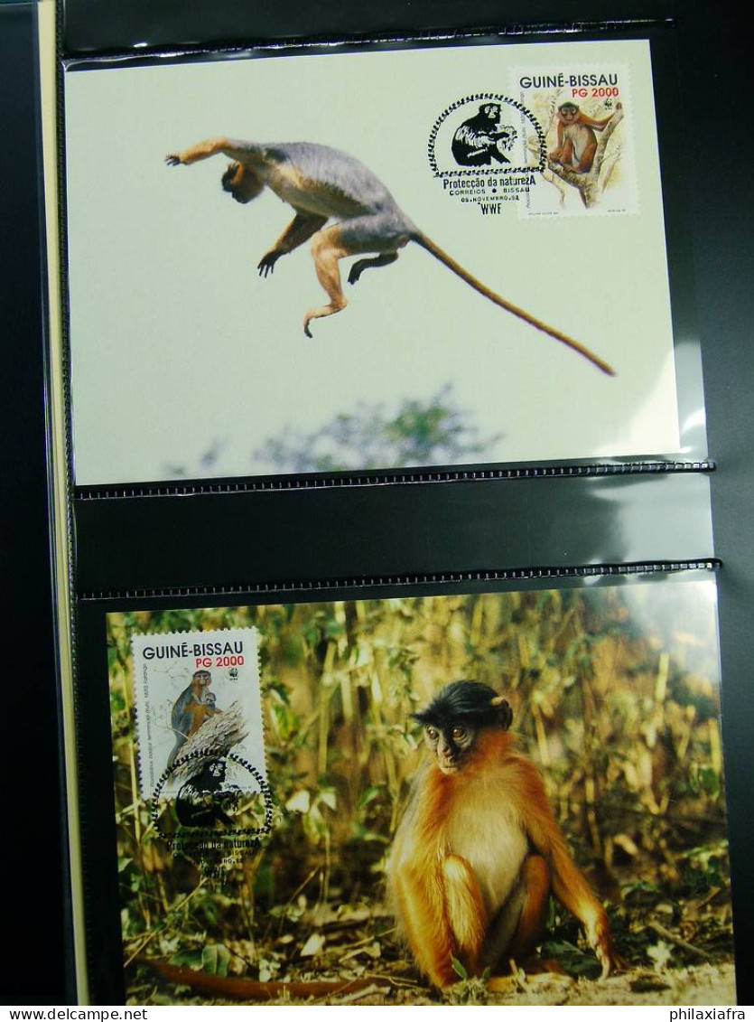 Collection WWF, album, timbres neufs ** enveloppe Somalien Galapagos