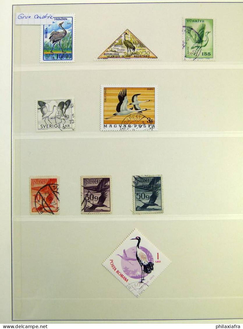 Collection théme Oiseaux, album, timbres, neufs et oblitérés Colonies françaises