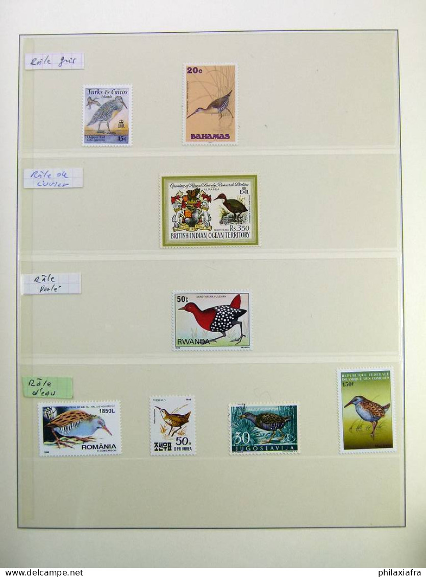 Collection théme Oiseaux, album, timbres, neufs et oblitérés Colonies françaises