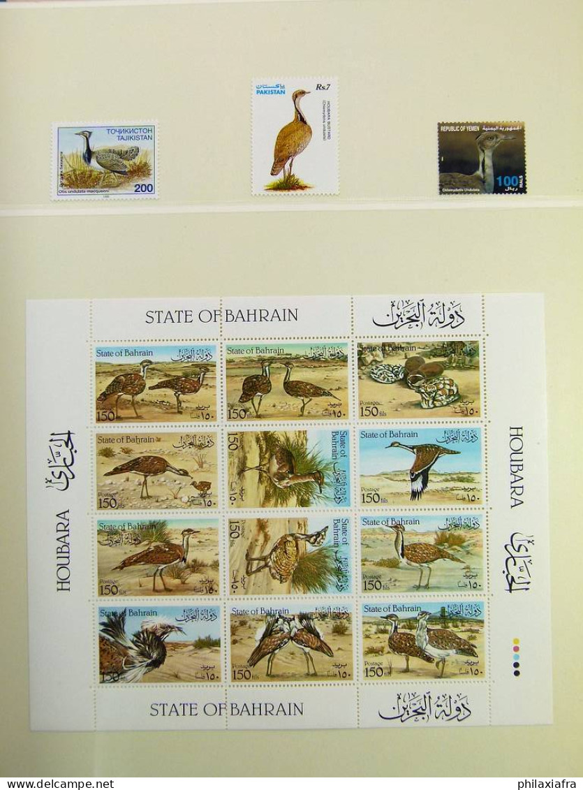 Collection théme Oiseaux, album, timbres, neufs et oblitérés Colonies françaises