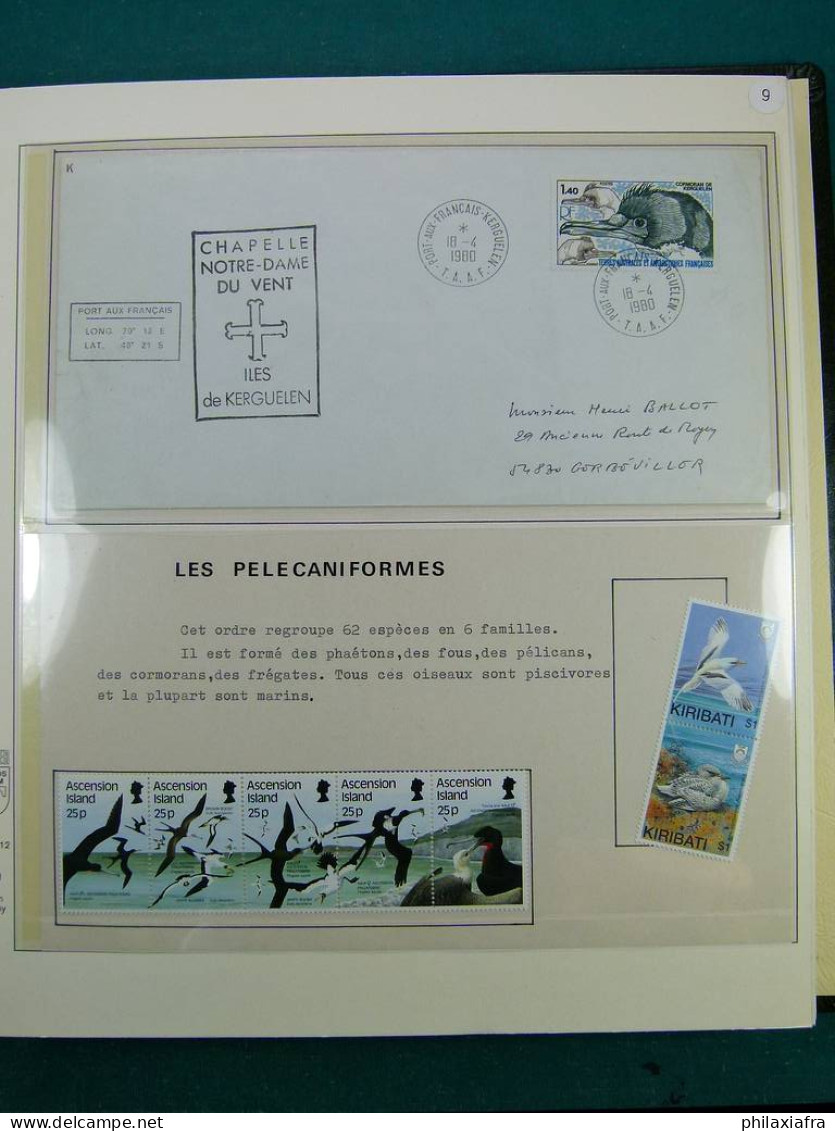 Collection Thématique Oiseaux, Sur Album, Timbres, Neufs** Oblitérés Pélicans - Collections, Lots & Series